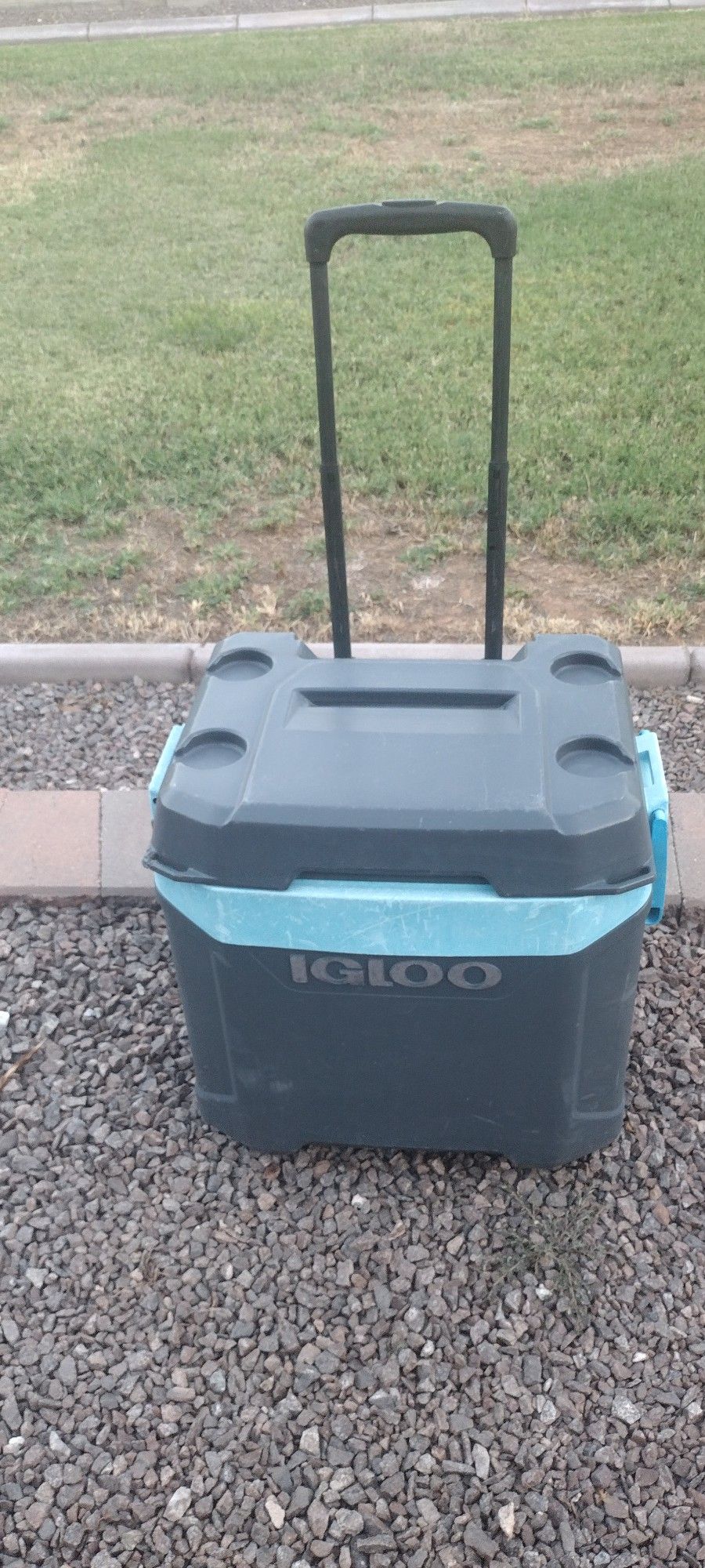 Rolling Cooler