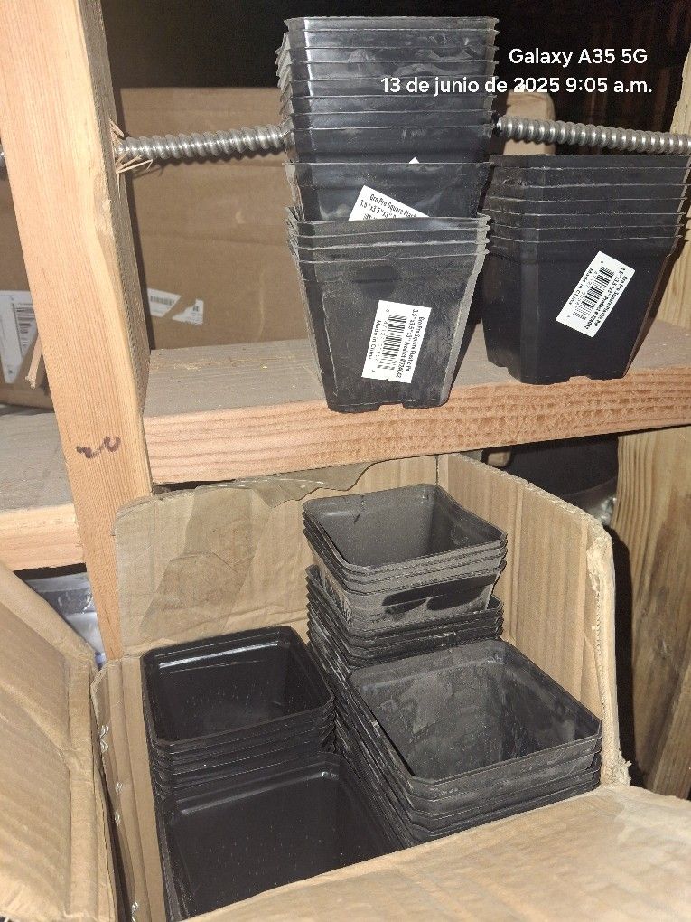 3.5X IN X 3.5 IN X 2.5 800 PLASTIC POT