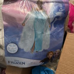 Adult Frozen Costume 