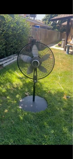 Fan