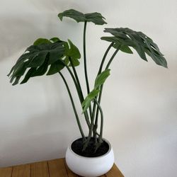 Fake monstera plant