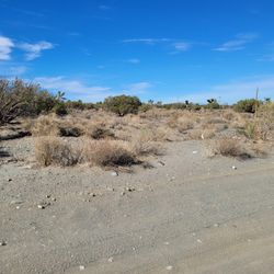 Pinon Hills 20 Acres