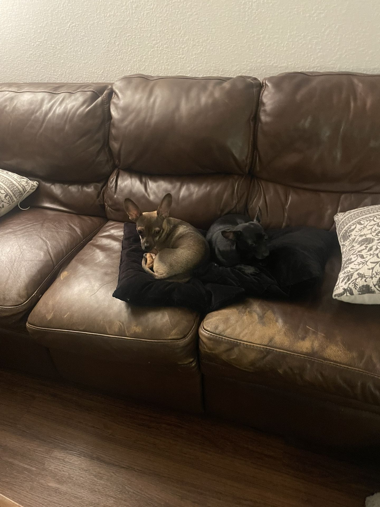 Free Double Recliner Couch