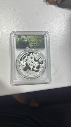 2024 Year Of The Panda MS 70