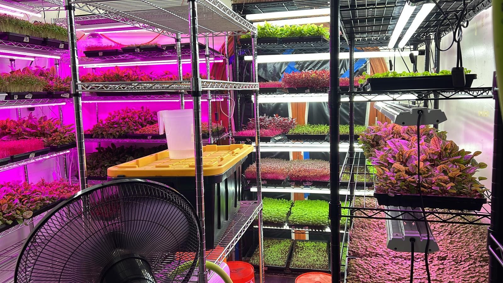 Microgreen Growing Equipment