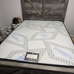 Queen, Bed And Mattress