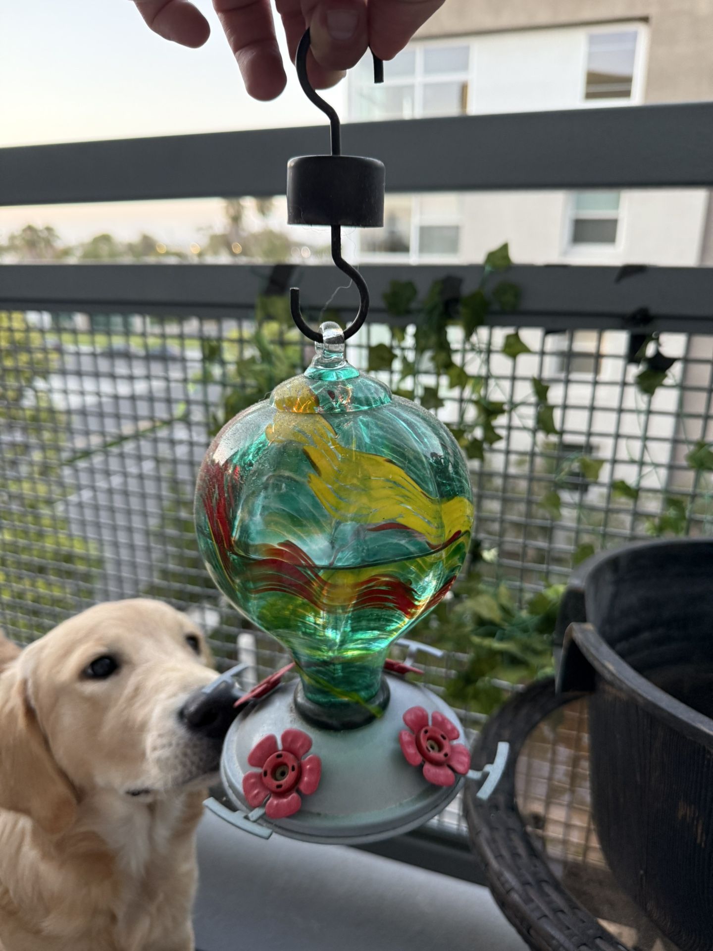 Hummingbird Feeder