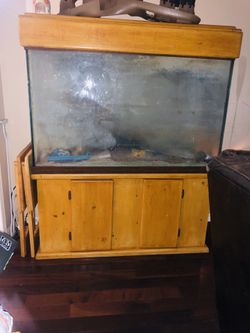 Huge fish tank with stand and lid
