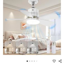 Socket Fan