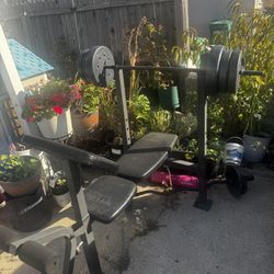 Bench Press & Curl Up Bar