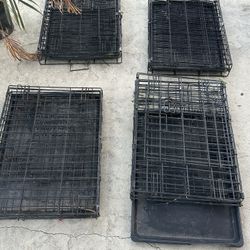 Med Size Kennels 