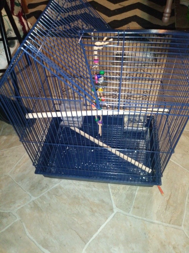 New Birdcage