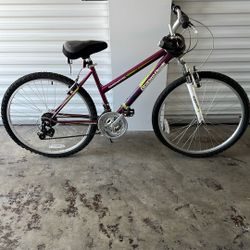 Road master Bike
