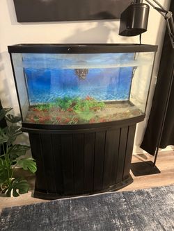 Aquarium tank