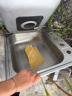 Kitchen sink