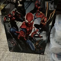 Spider Man Hobby Lobby Frame 