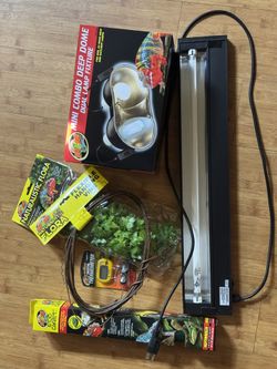 Reptile Chameleon Lights And Vines