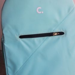 $25 Wine Cooler Back Pack Perfect For Hollywood Bowl Events 