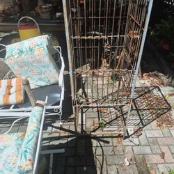 Bird Cage