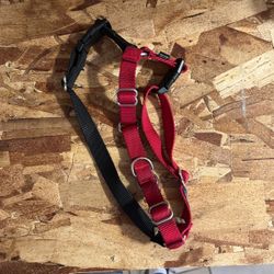 Small Dog harness 