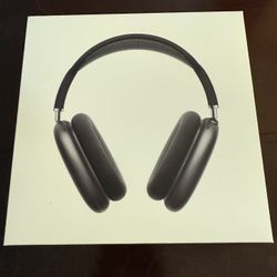 Apple AirPods Max Gray Space