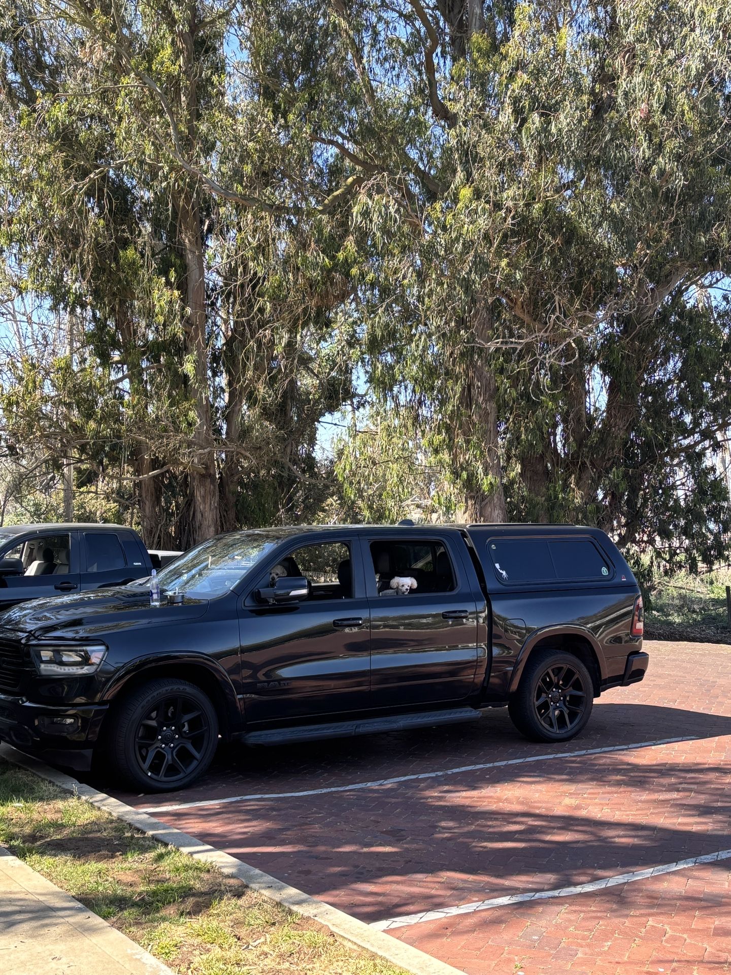 2021 Dodge Ram