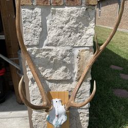 Axis mount 39 3/4 tall