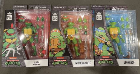 BST AXN Teenage Mutant Ninja Action Figure
