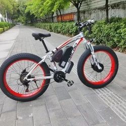 Electric Bike 1500W