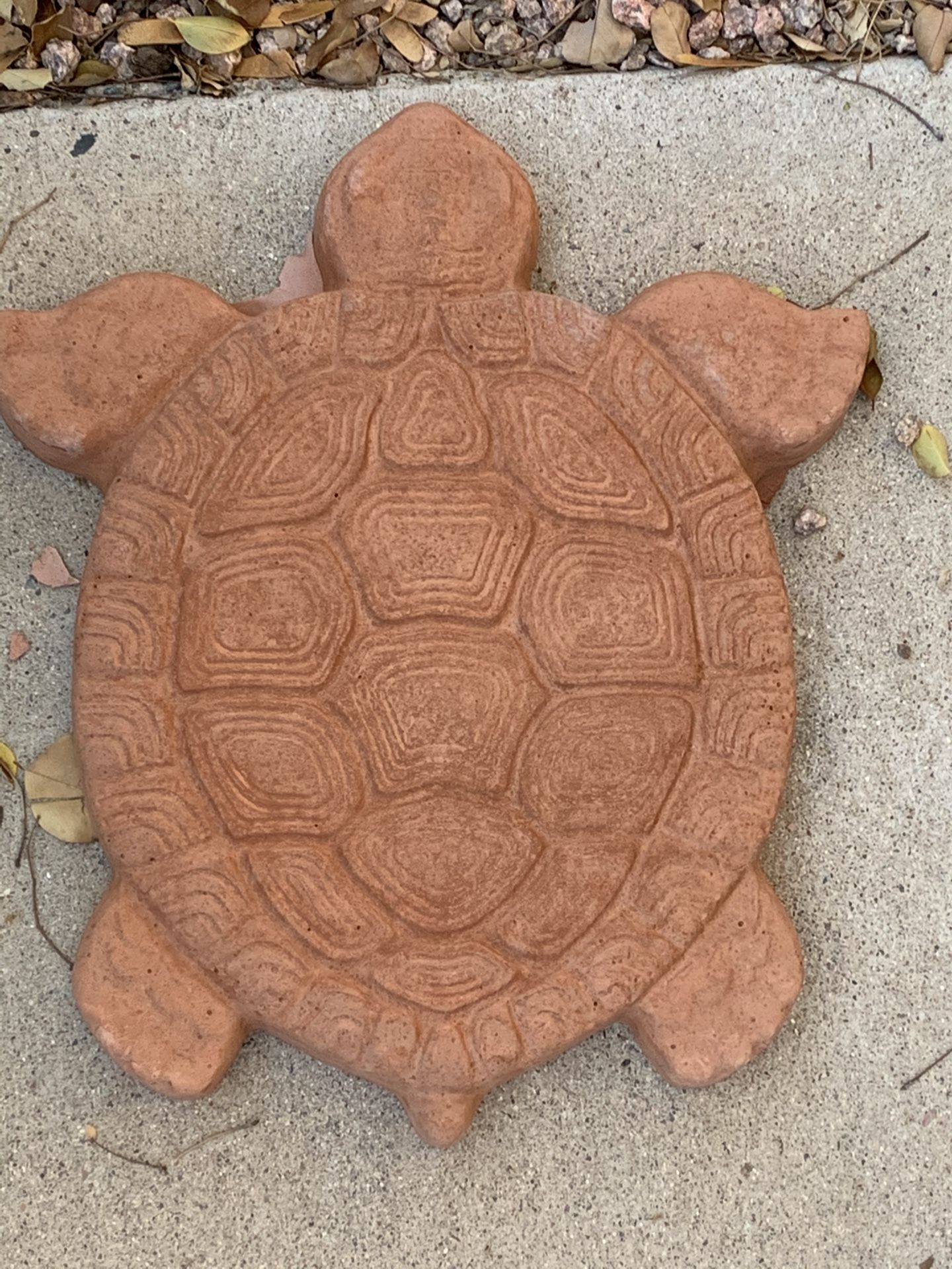 Concrete turtle stepping stones