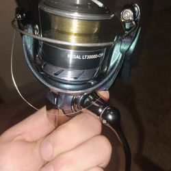 Fish Reel  Regal Lt 3000d Ch