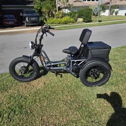 Meetone Dual Motor trike