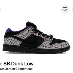 Nike Sb Dunk Low Dashawn Jordan sz 10.5/12