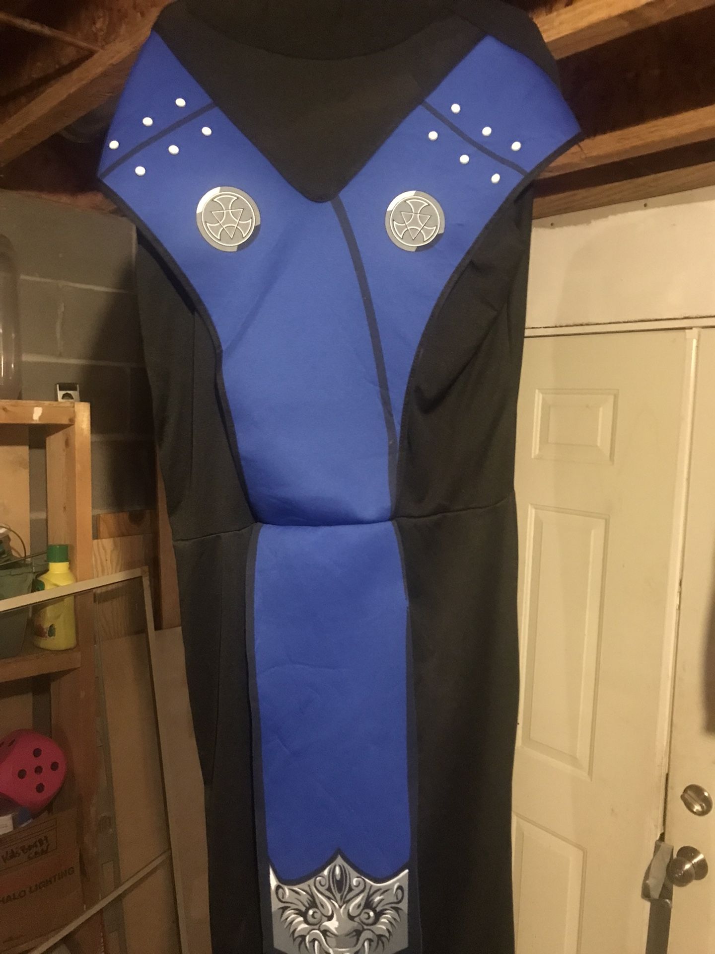 Sub-Zero Halloween Costume