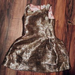 Gold Dress 6X