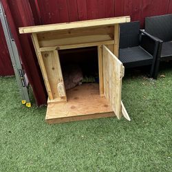 Dog House 