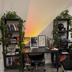 Cb2 Shelfs And Desk Combo 