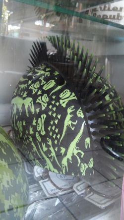 Dinosaur helmets
