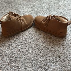 Ugg Chukka boot chestnut 