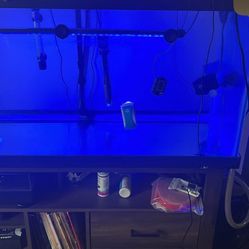 75 gallon aquarium with everything needed