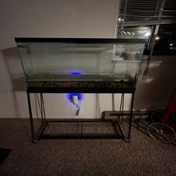 55g Fish Tank With Stand