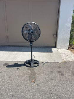 Fan