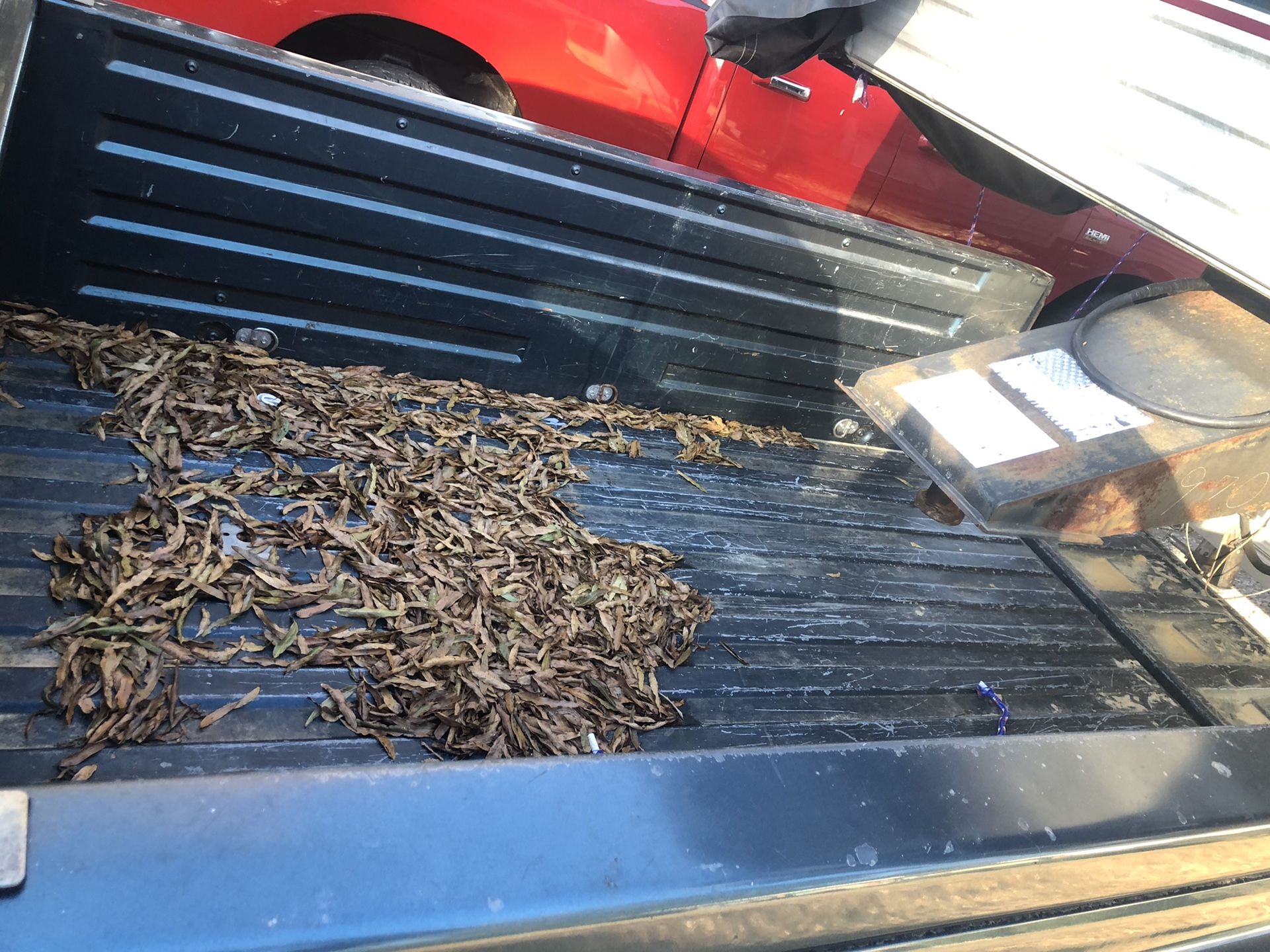 2000 Chevrolet Silverado 1500