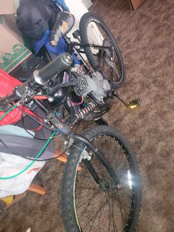 80cc Motorized Bike