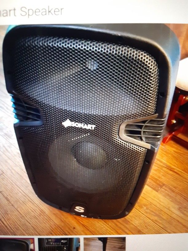 Sonart DJ Speaker