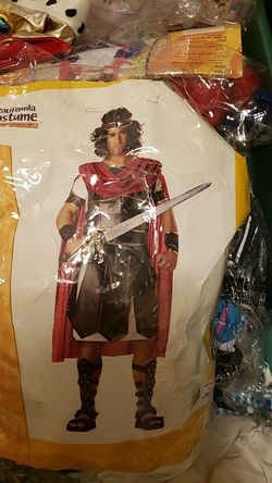 Hercules costume size Large. Used but in great condition