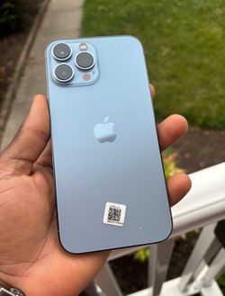 iPhone 13 Pro Max 256G