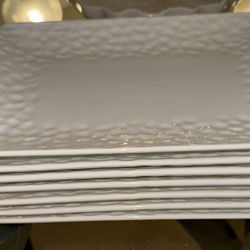 Dinner Plates 