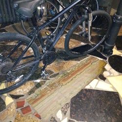 Schwinn Ascension 29