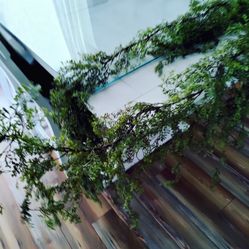 10 Ft Long Vine Garland With Hook At Each End